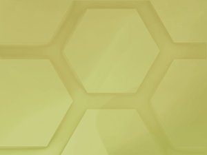 商标保护